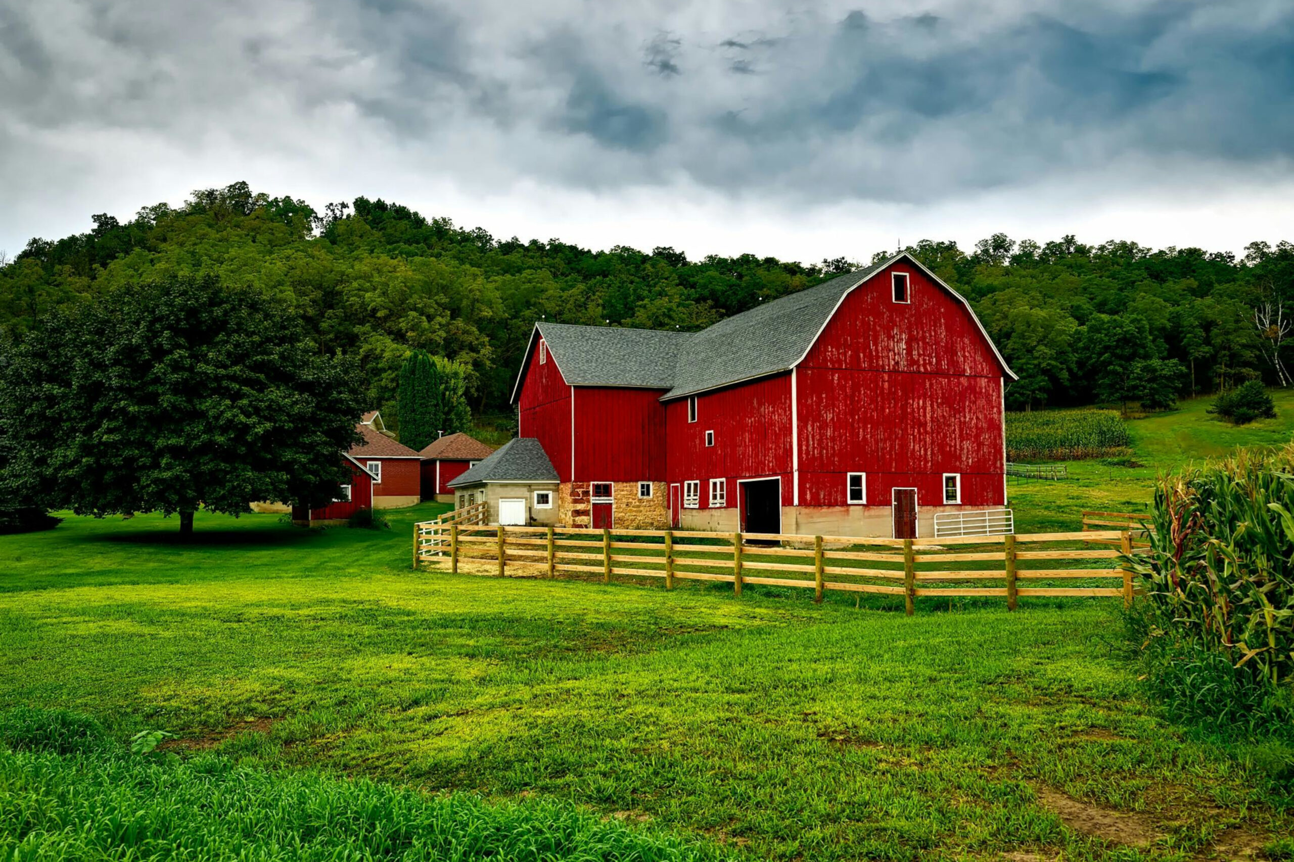 pexels pixabay 235725 3840