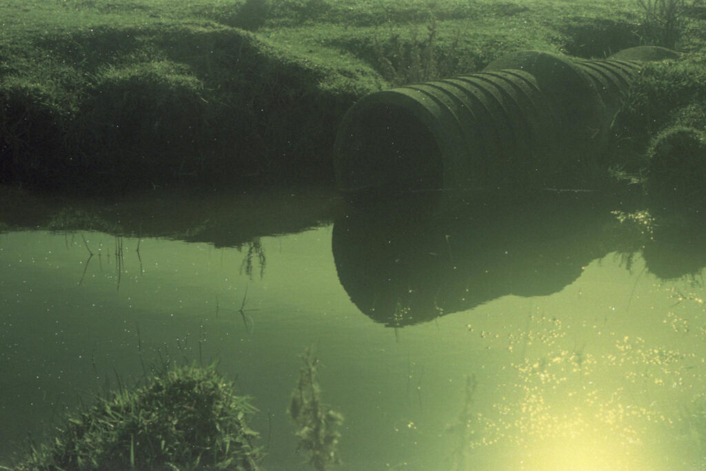 The Gatekeepers pexels santiago balbuena 260670847 15471911 3840