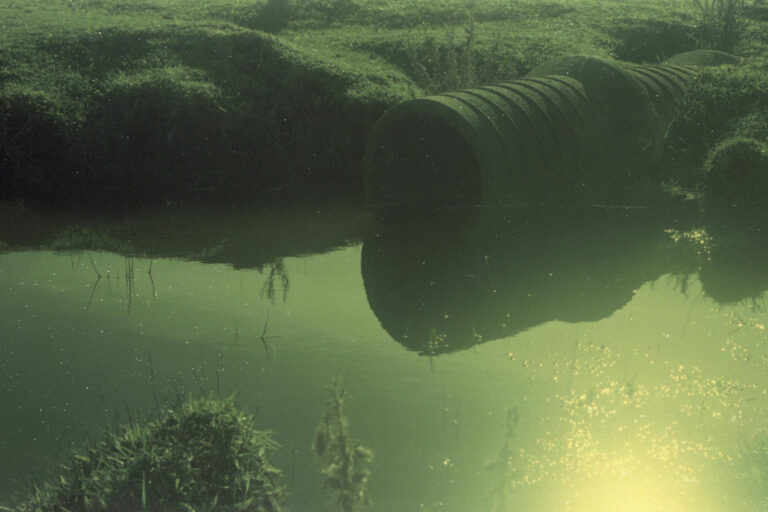 pexels santiago balbuena 260670847 15471911 3840