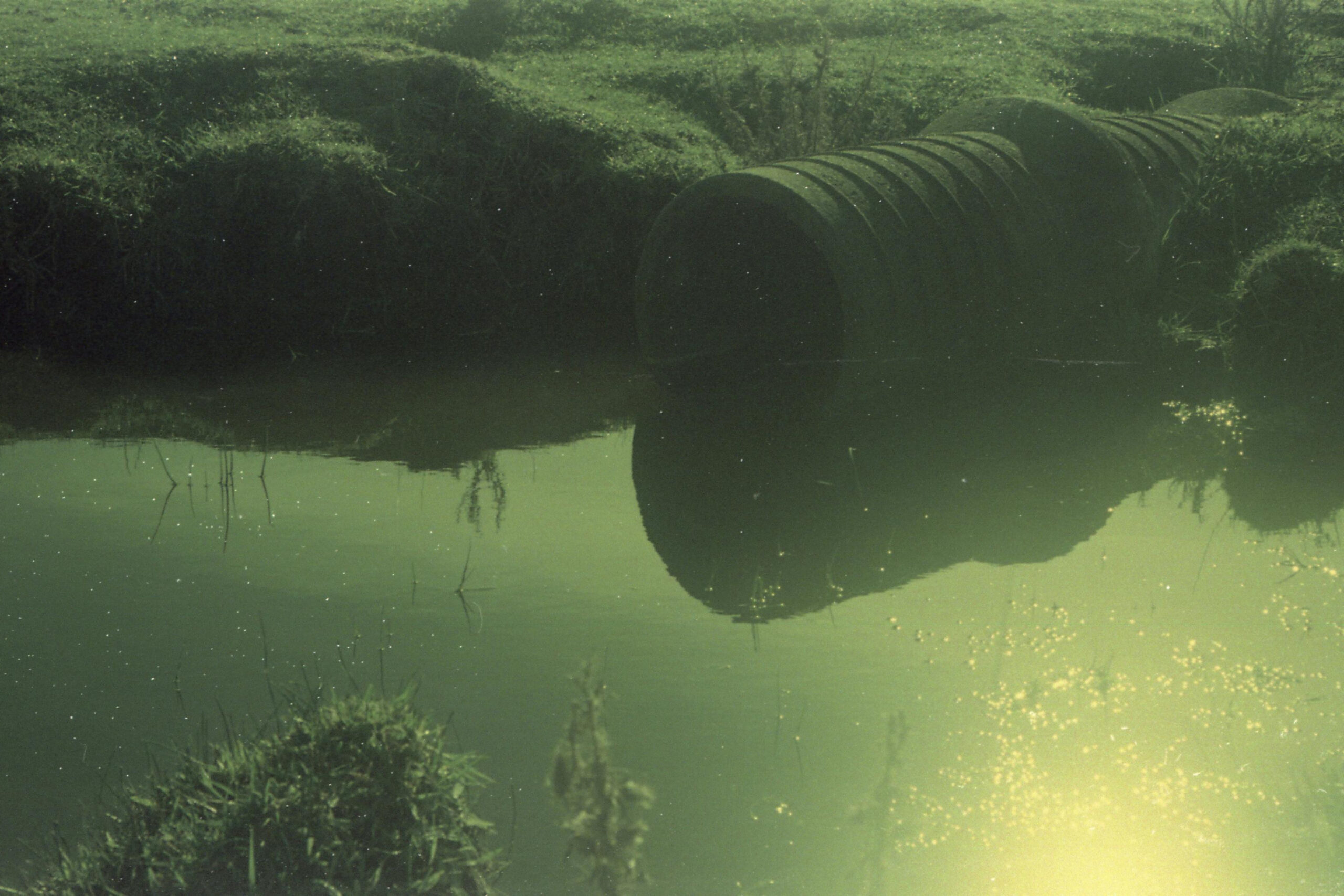 pexels santiago balbuena 260670847 15471911 3840