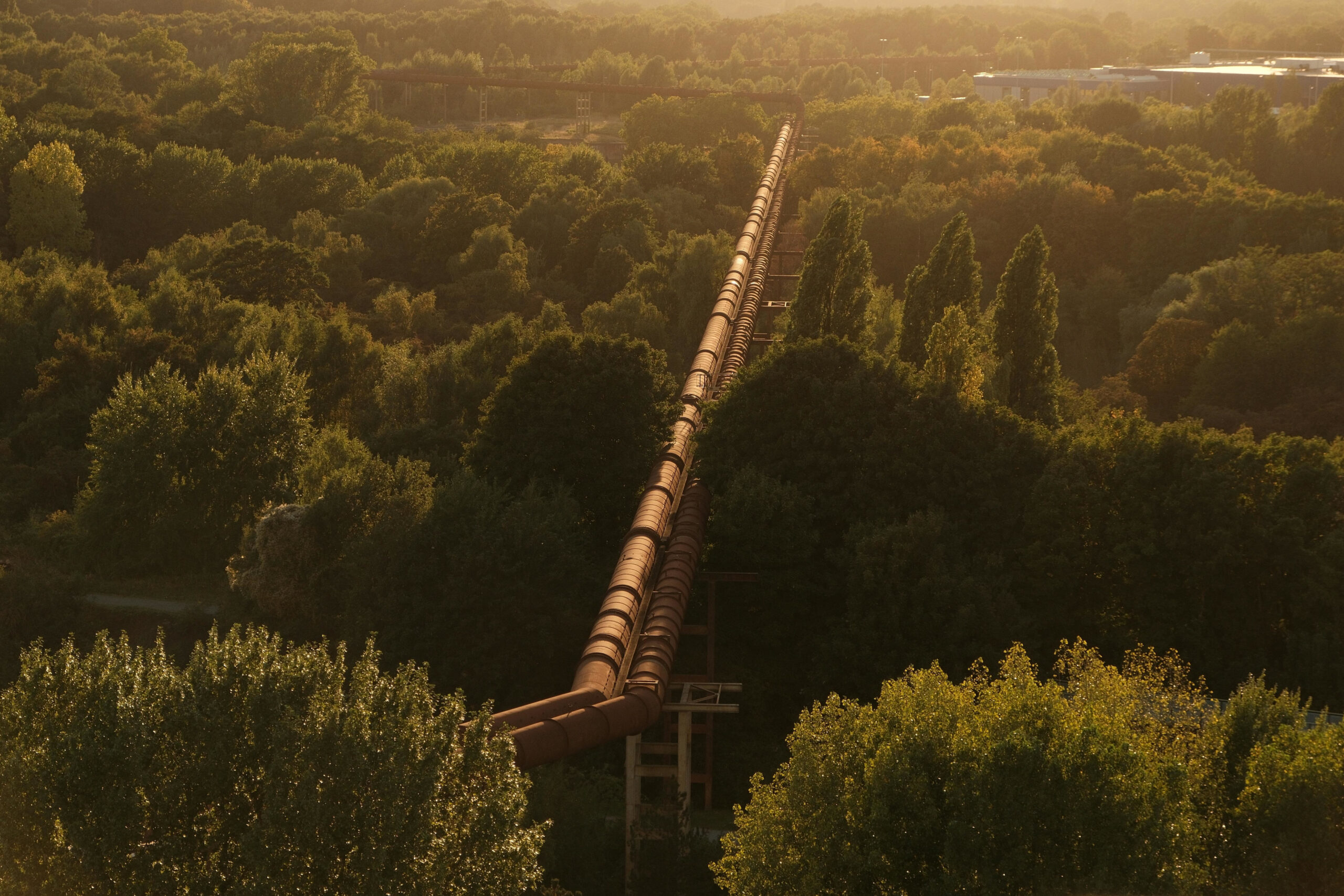 pexels willianmatiola 33923378 3840